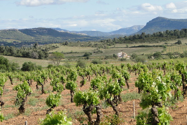 Südliches Languedoc bei Minervois